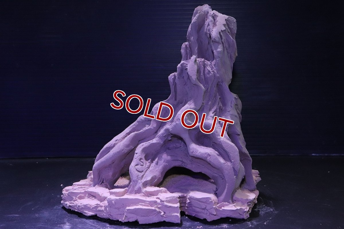 画像2: シェルタクラフタ No9 ROOTS Mサイズ シェルター【個体販売】(淡水) (2)