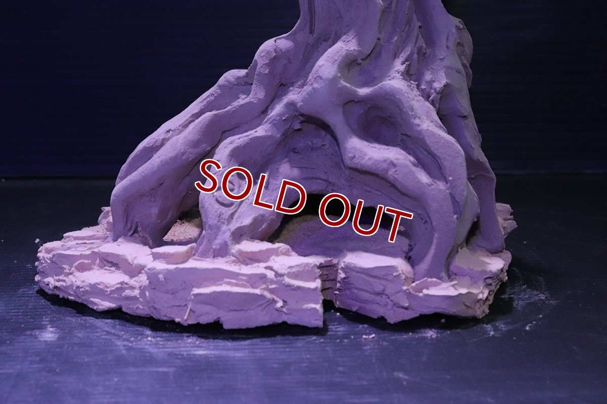 画像3: シェルタクラフタ No9 ROOTS Mサイズ シェルター【個体販売】(淡水) (3)