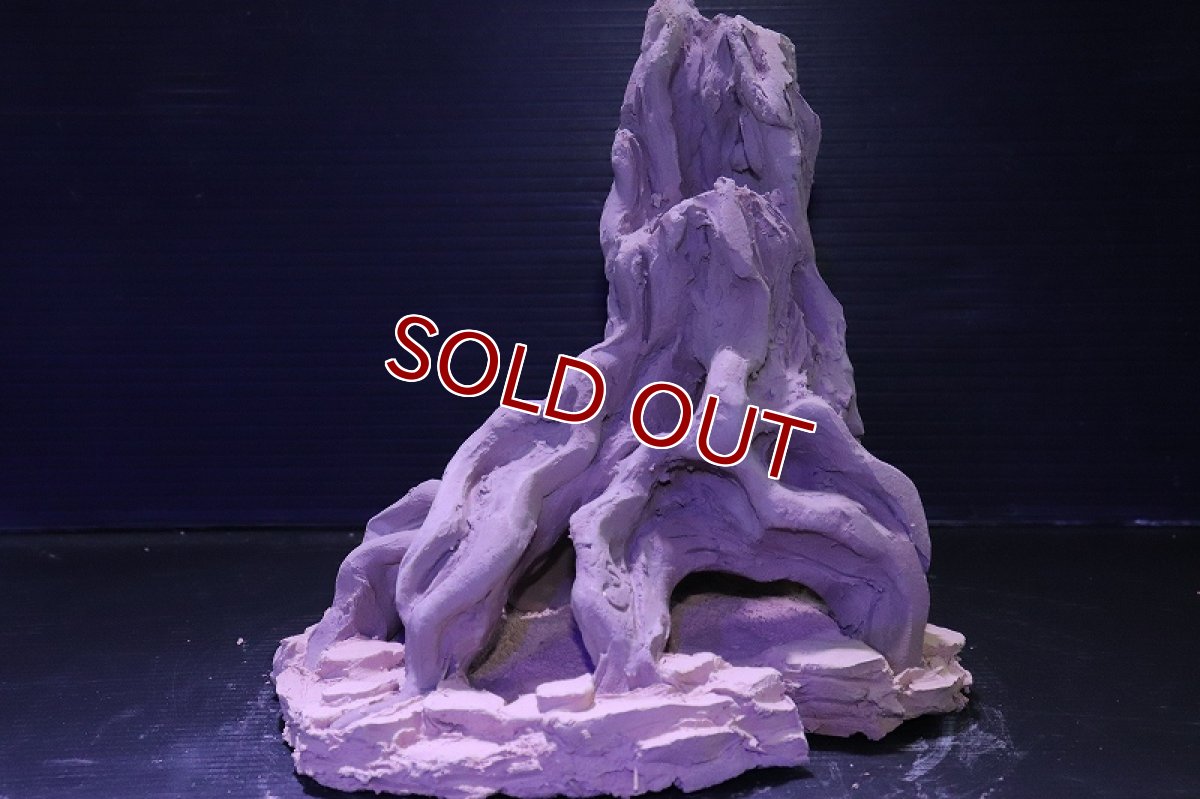 画像4: シェルタクラフタ No9 ROOTS Mサイズ シェルター【個体販売】(淡水) (4)