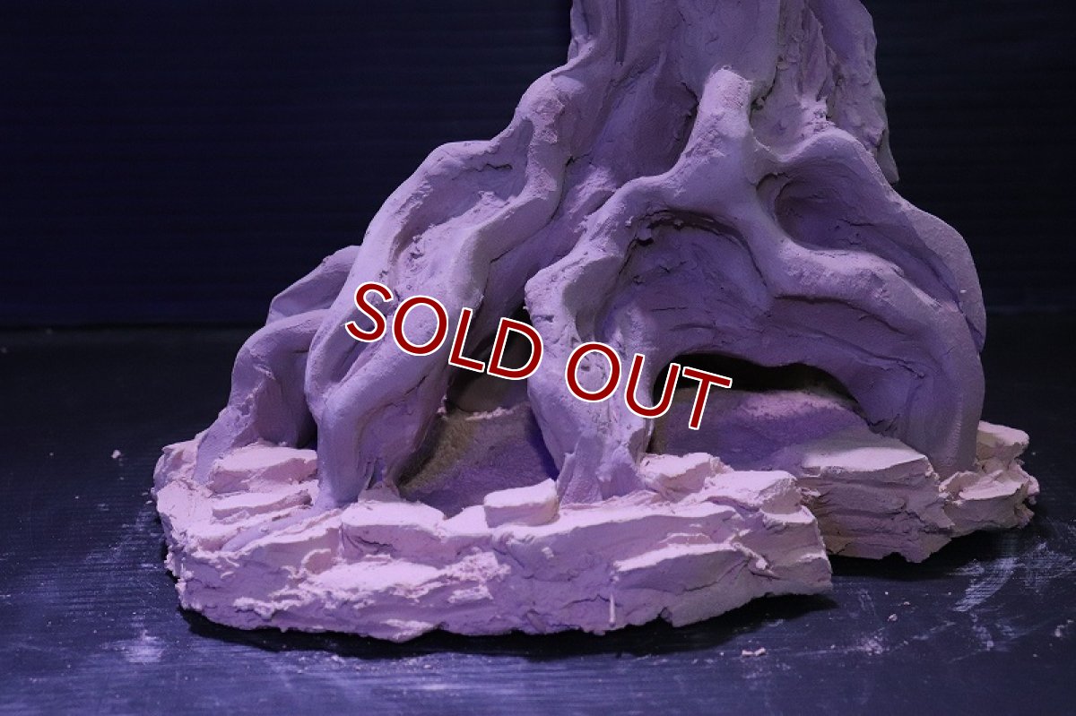 画像5: シェルタクラフタ No9 ROOTS Mサイズ シェルター【個体販売】(淡水) (5)