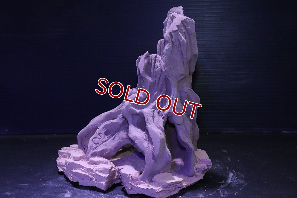 画像6: シェルタクラフタ No9 ROOTS Mサイズ シェルター【個体販売】(淡水) (6)