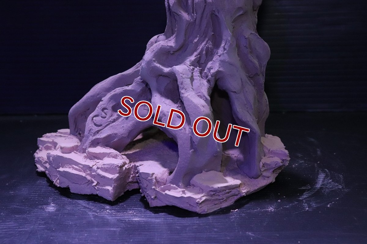 画像7: シェルタクラフタ No9 ROOTS Mサイズ シェルター【個体販売】(淡水) (7)