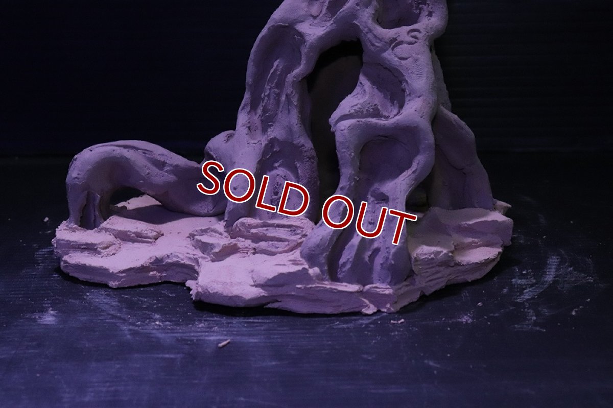 画像3: シェルタクラフタ No10 ROOTS Mサイズ シェルター【個体販売】(淡水) (3)