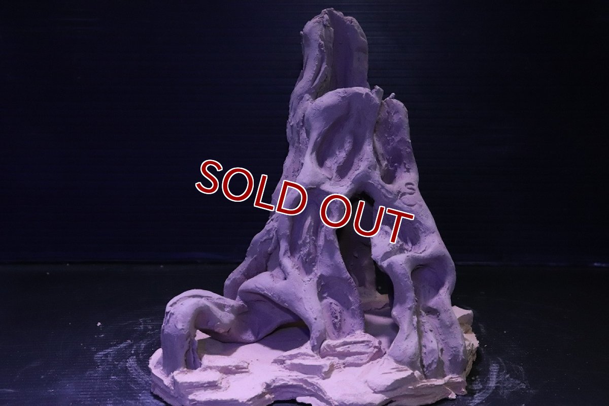 画像4: シェルタクラフタ No10 ROOTS Mサイズ シェルター【個体販売】(淡水) (4)