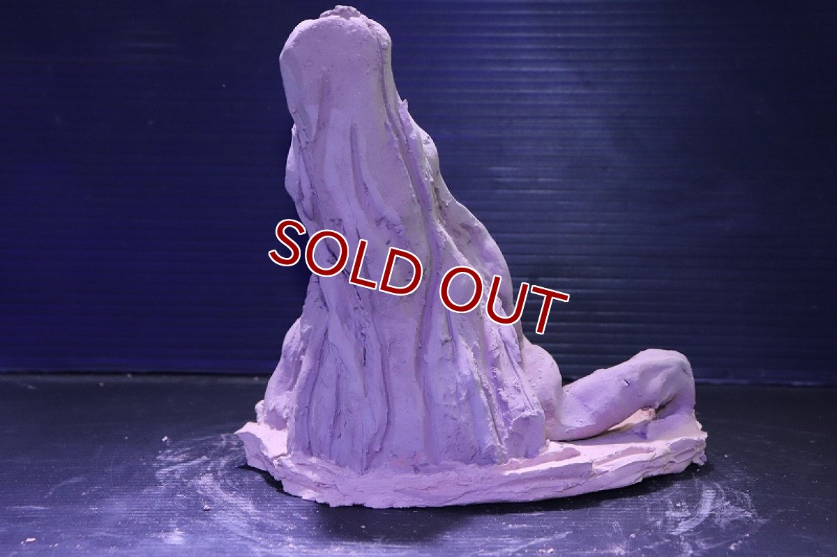 画像8: シェルタクラフタ No10 ROOTS Mサイズ シェルター【個体販売】(淡水) (8)