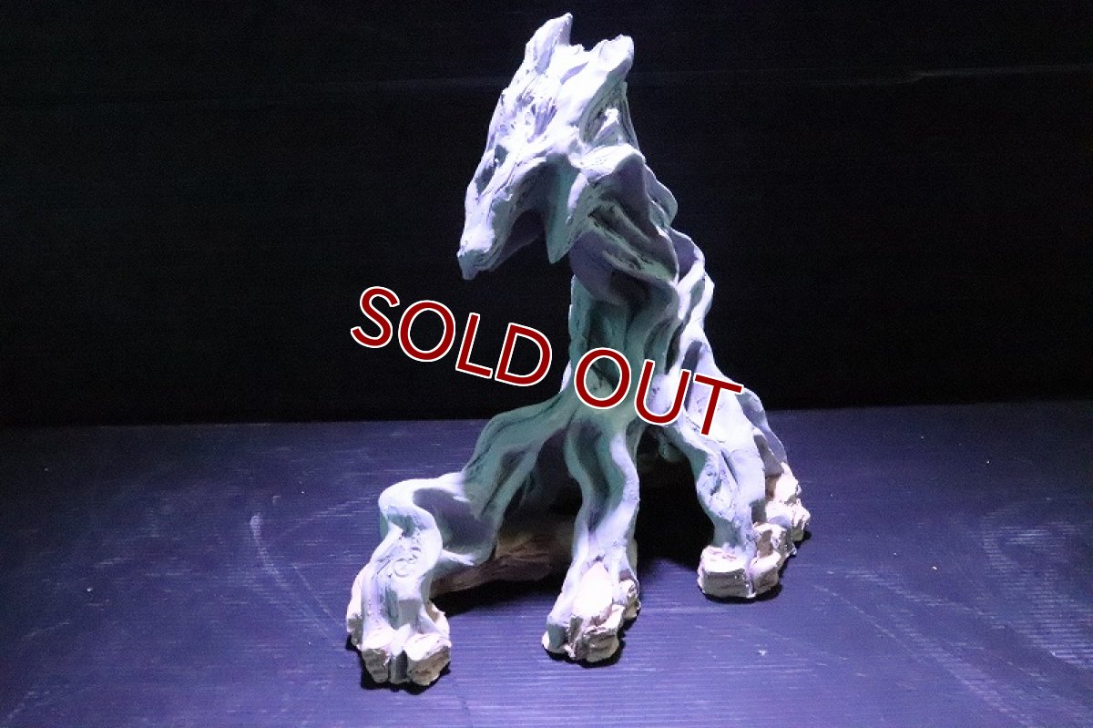 画像3: 【熱帯魚 シェルター】シェルタクラフタ No1 ROOTS SPDX タイプ2  シェルター【個体販売】(淡水) (3)