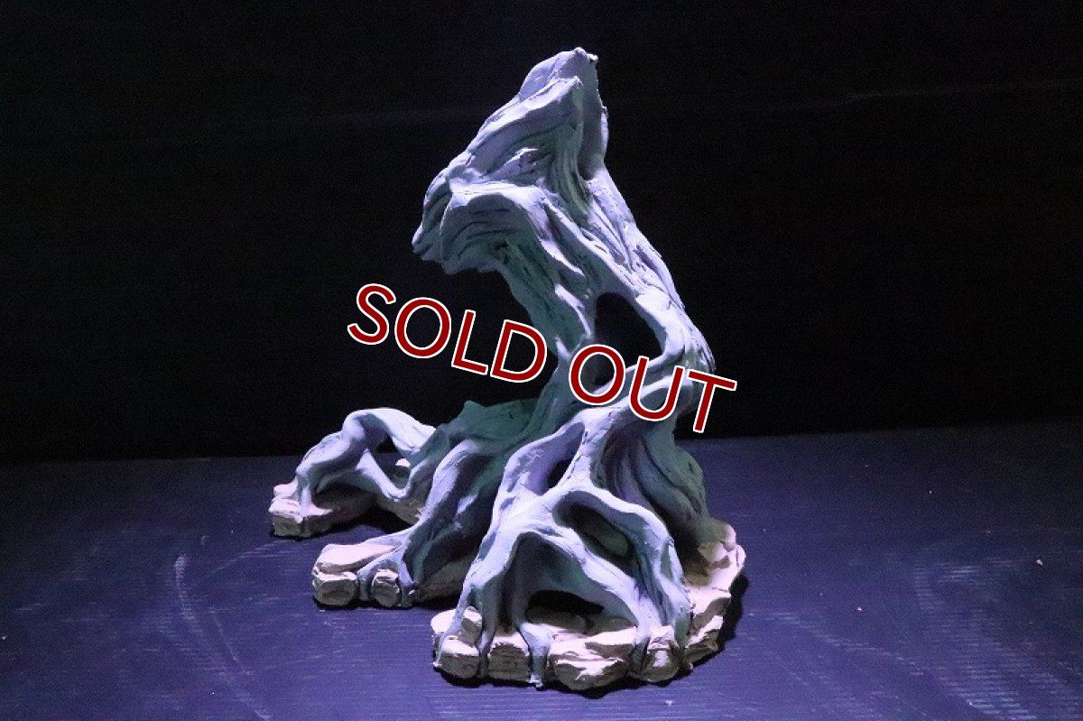 画像4: 【熱帯魚 シェルター】シェルタクラフタ No1 ROOTS SPDX タイプ2  シェルター【個体販売】(淡水) (4)