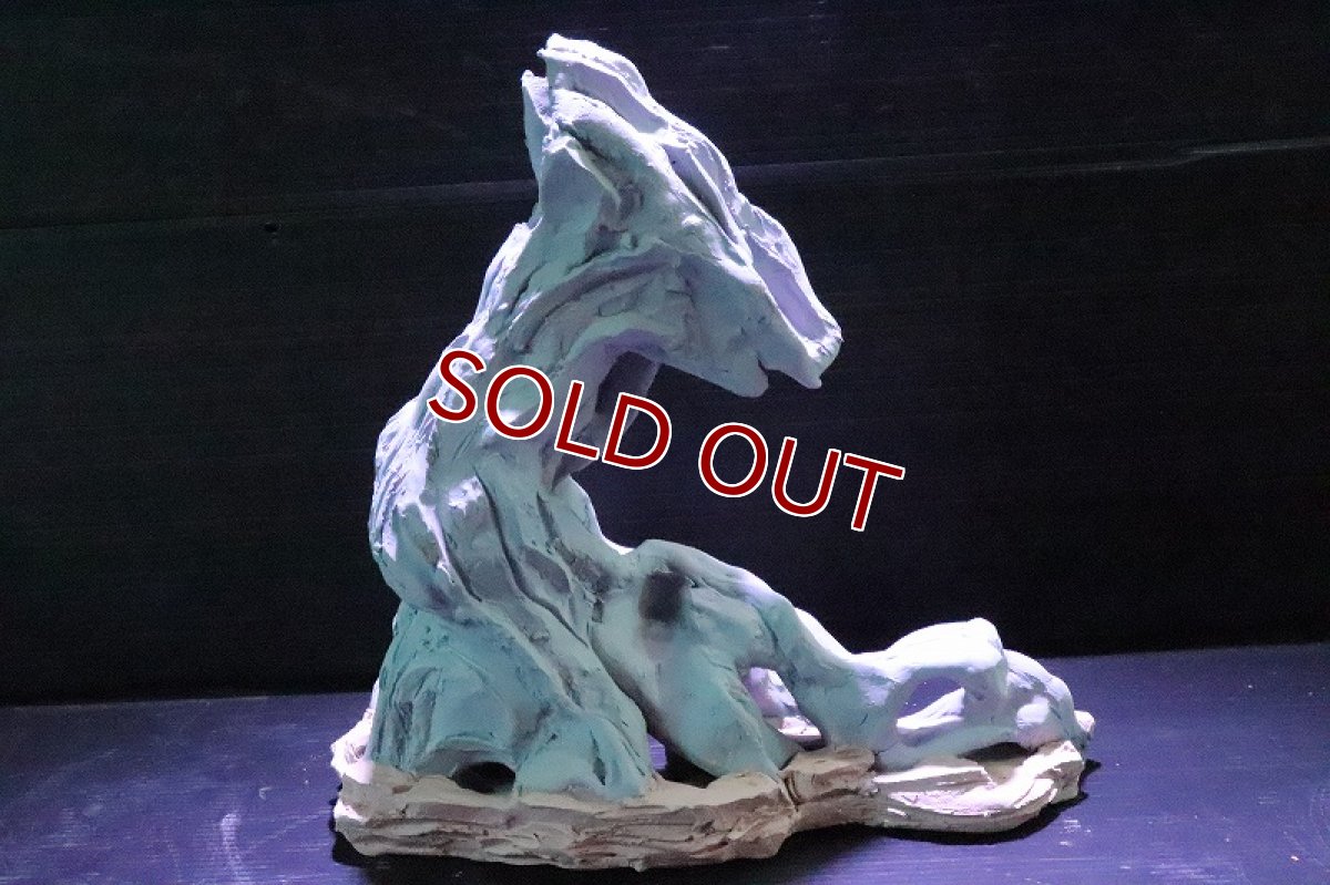 画像5: 【熱帯魚 シェルター】シェルタクラフタ No1 ROOTS SPDX タイプ2  シェルター【個体販売】(淡水) (5)