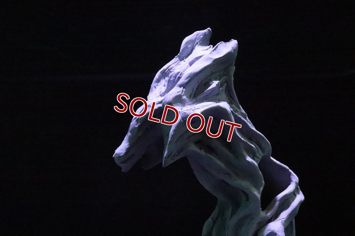 画像6: 【熱帯魚 シェルター】シェルタクラフタ No1 ROOTS SPDX タイプ2  シェルター【個体販売】(淡水) (6)