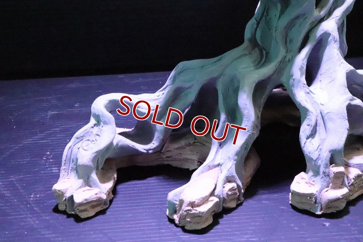 画像7: 【熱帯魚 シェルター】シェルタクラフタ No1 ROOTS SPDX タイプ2  シェルター【個体販売】(淡水) (7)