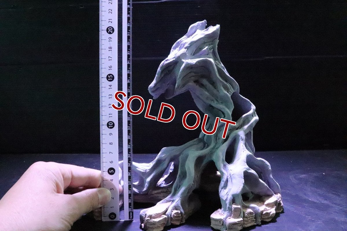 画像9: 【熱帯魚 シェルター】シェルタクラフタ No1 ROOTS SPDX タイプ2  シェルター【個体販売】(淡水) (9)