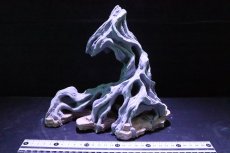 画像1: 【熱帯魚 シェルター】シェルタクラフタ No2 ROOTS SPDX タイプ2  シェルター【個体販売】(淡水) (1)