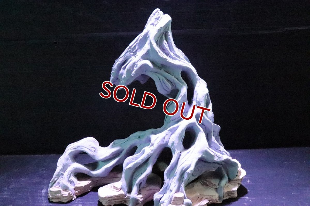 画像2: 【熱帯魚 シェルター】シェルタクラフタ No2 ROOTS SPDX タイプ2  シェルター【個体販売】(淡水) (2)