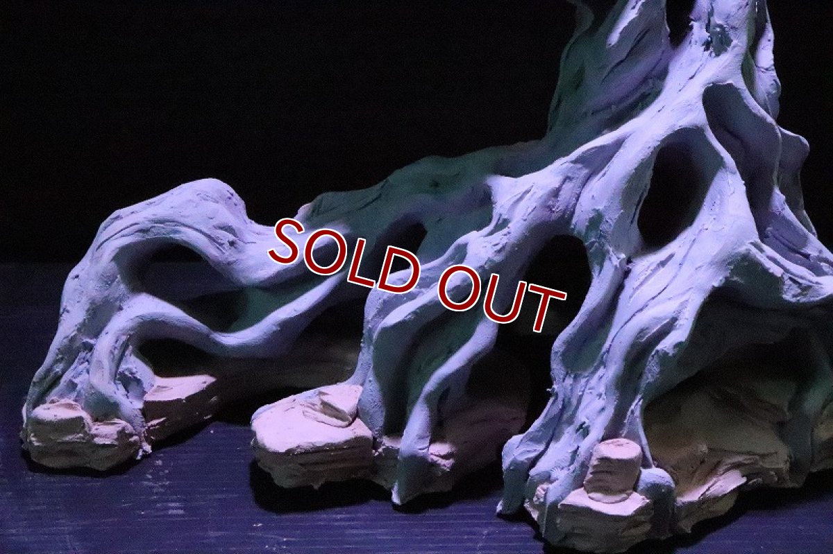 画像3: 【熱帯魚 シェルター】シェルタクラフタ No2 ROOTS SPDX タイプ2  シェルター【個体販売】(淡水) (3)