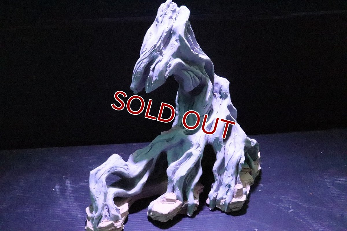 画像4: 【熱帯魚 シェルター】シェルタクラフタ No2 ROOTS SPDX タイプ2  シェルター【個体販売】(淡水) (4)