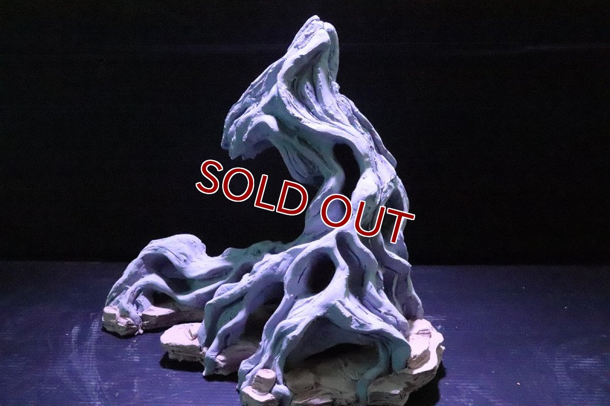 画像5: 【熱帯魚 シェルター】シェルタクラフタ No2 ROOTS SPDX タイプ2  シェルター【個体販売】(淡水) (5)