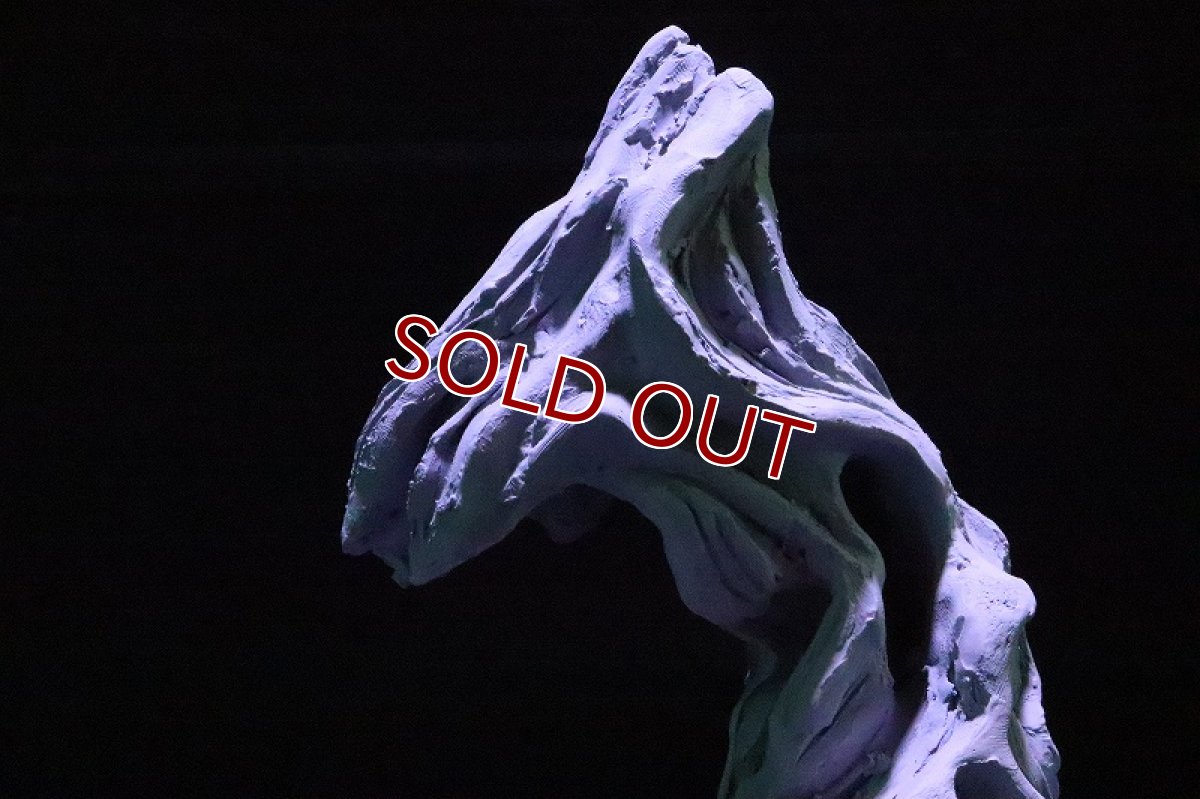 画像6: 【熱帯魚 シェルター】シェルタクラフタ No2 ROOTS SPDX タイプ2  シェルター【個体販売】(淡水) (6)