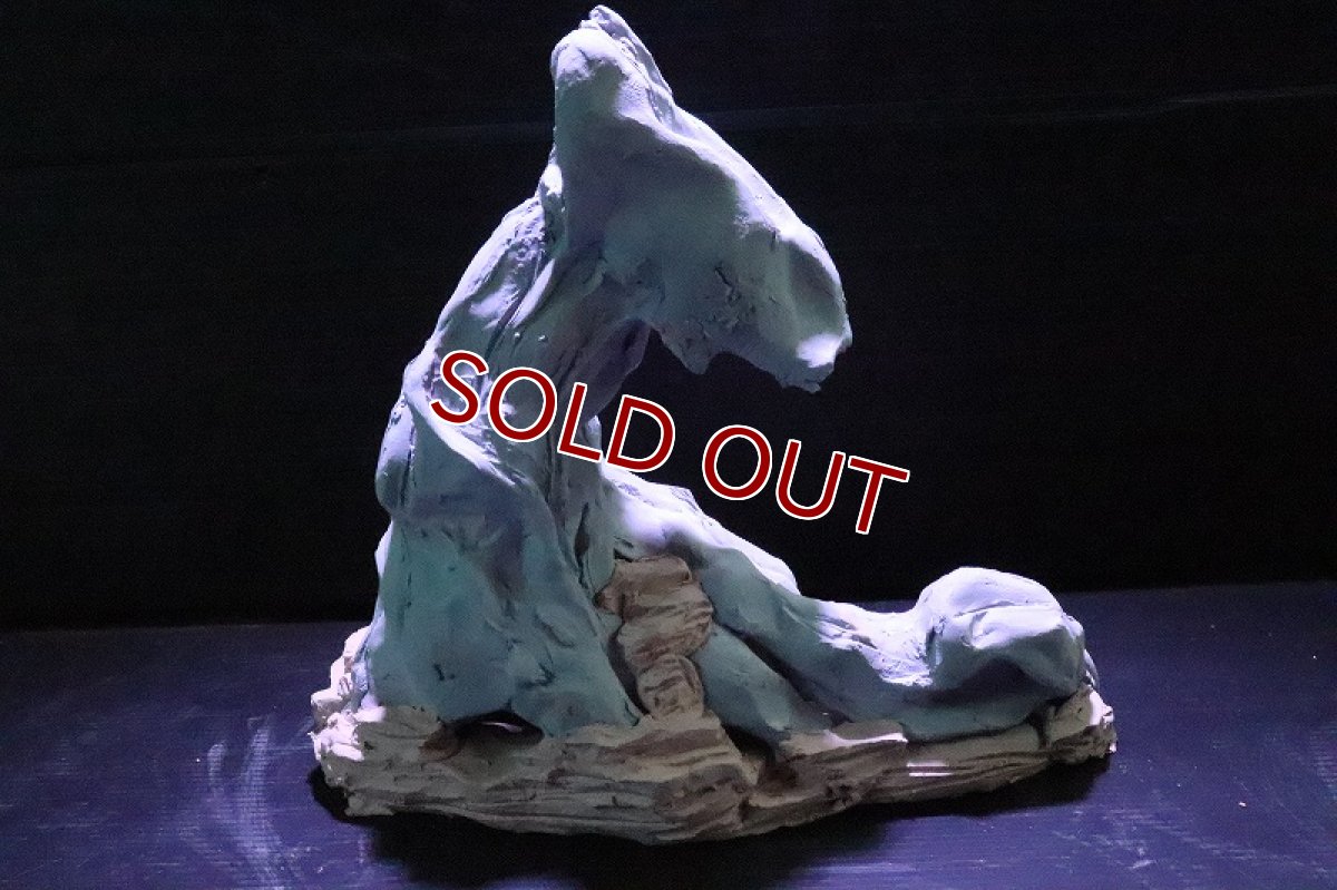 画像7: 【熱帯魚 シェルター】シェルタクラフタ No2 ROOTS SPDX タイプ2  シェルター【個体販売】(淡水) (7)