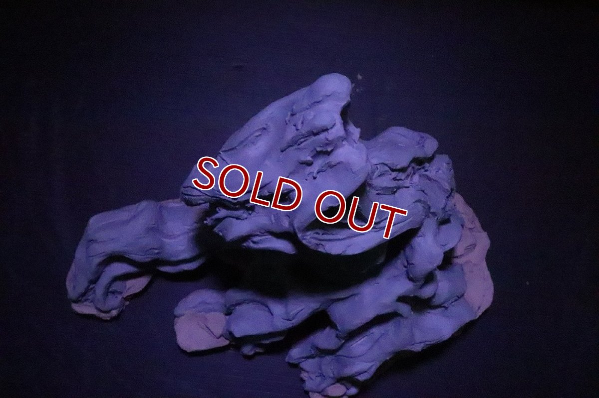 画像8: 【熱帯魚 シェルター】シェルタクラフタ No2 ROOTS SPDX タイプ2  シェルター【個体販売】(淡水) (8)