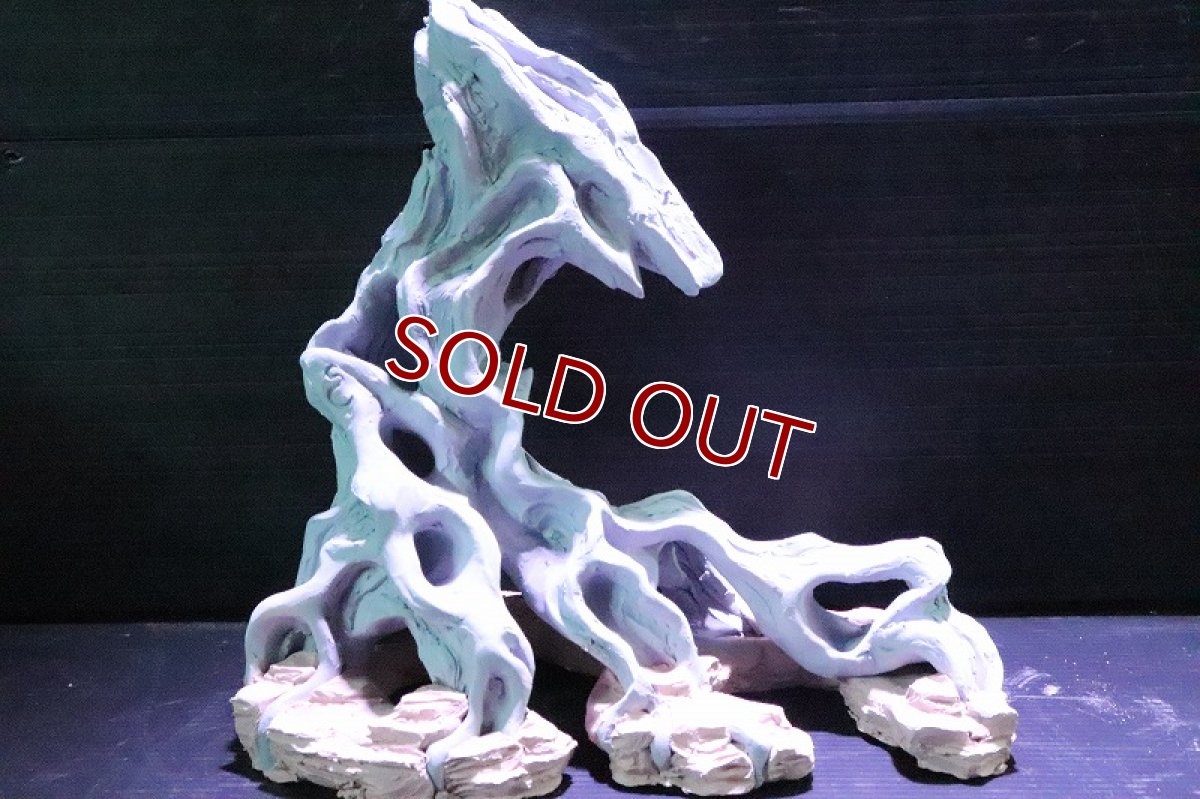 画像2: 【熱帯魚 シェルター】シェルタクラフタ No3 ROOTS SPDX タイプ2  シェルター【個体販売】(淡水) (2)