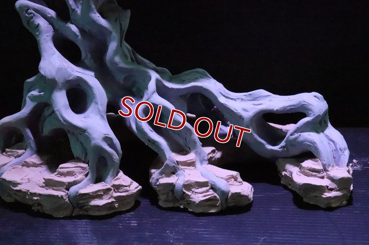 画像3: 【熱帯魚 シェルター】シェルタクラフタ No3 ROOTS SPDX タイプ2  シェルター【個体販売】(淡水) (3)