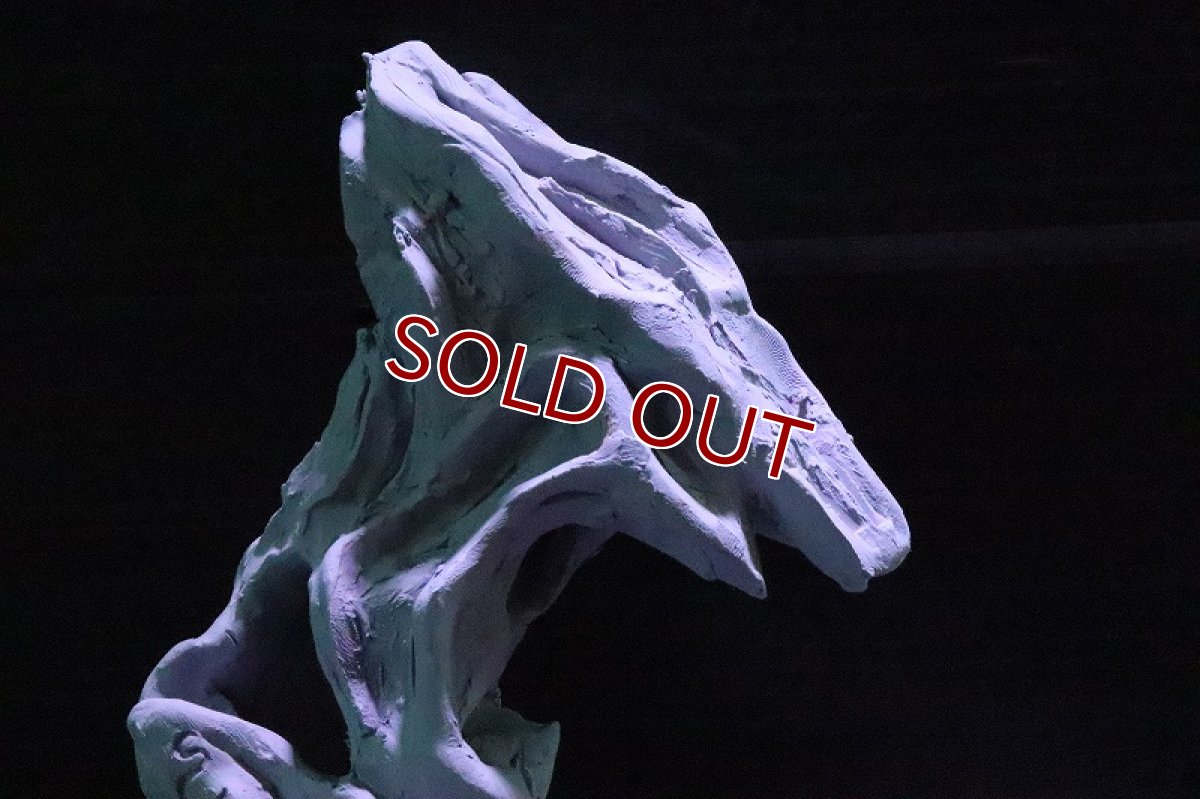 画像4: 【熱帯魚 シェルター】シェルタクラフタ No3 ROOTS SPDX タイプ2  シェルター【個体販売】(淡水) (4)