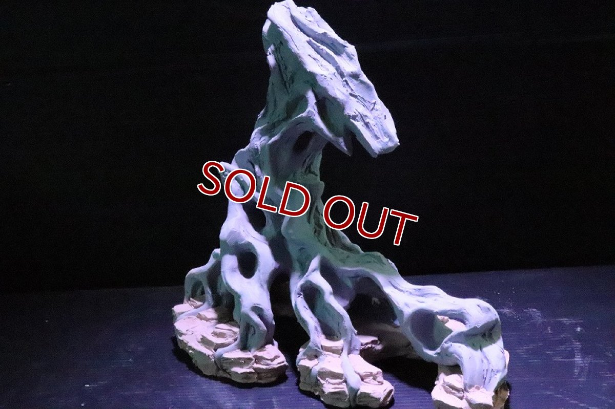 画像5: 【熱帯魚 シェルター】シェルタクラフタ No3 ROOTS SPDX タイプ2  シェルター【個体販売】(淡水) (5)