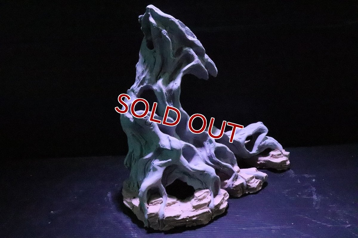 画像6: 【熱帯魚 シェルター】シェルタクラフタ No3 ROOTS SPDX タイプ2  シェルター【個体販売】(淡水) (6)