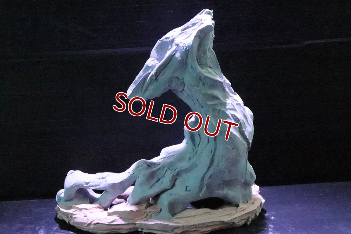 画像7: 【熱帯魚 シェルター】シェルタクラフタ No3 ROOTS SPDX タイプ2  シェルター【個体販売】(淡水) (7)