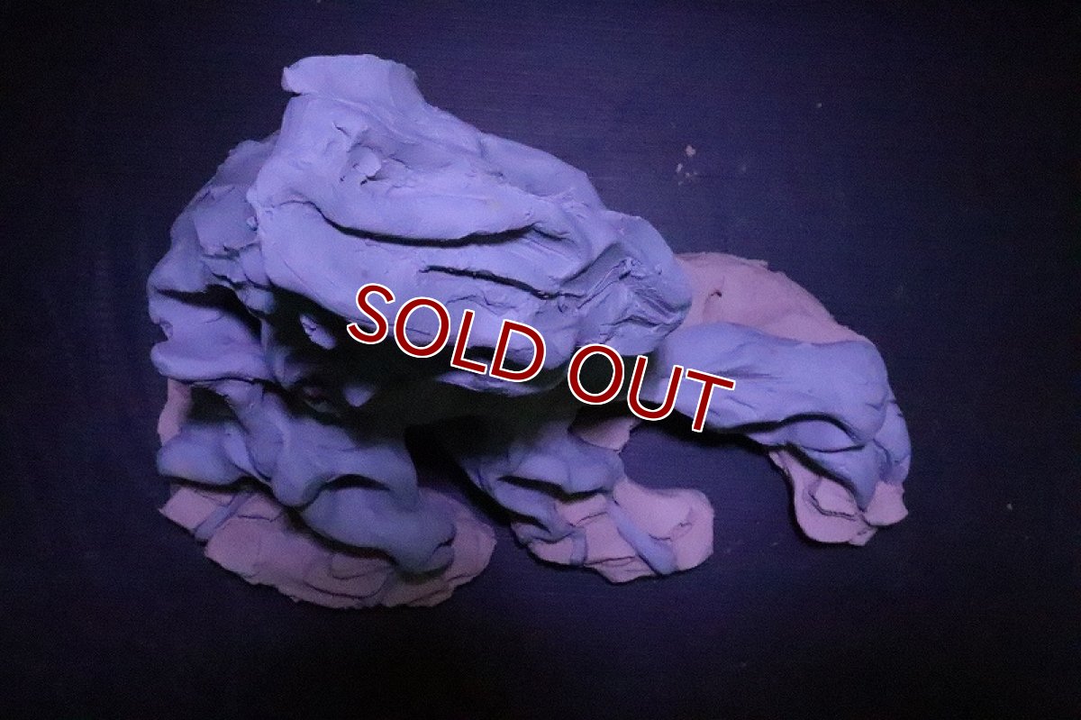 画像8: 【熱帯魚 シェルター】シェルタクラフタ No3 ROOTS SPDX タイプ2  シェルター【個体販売】(淡水) (8)