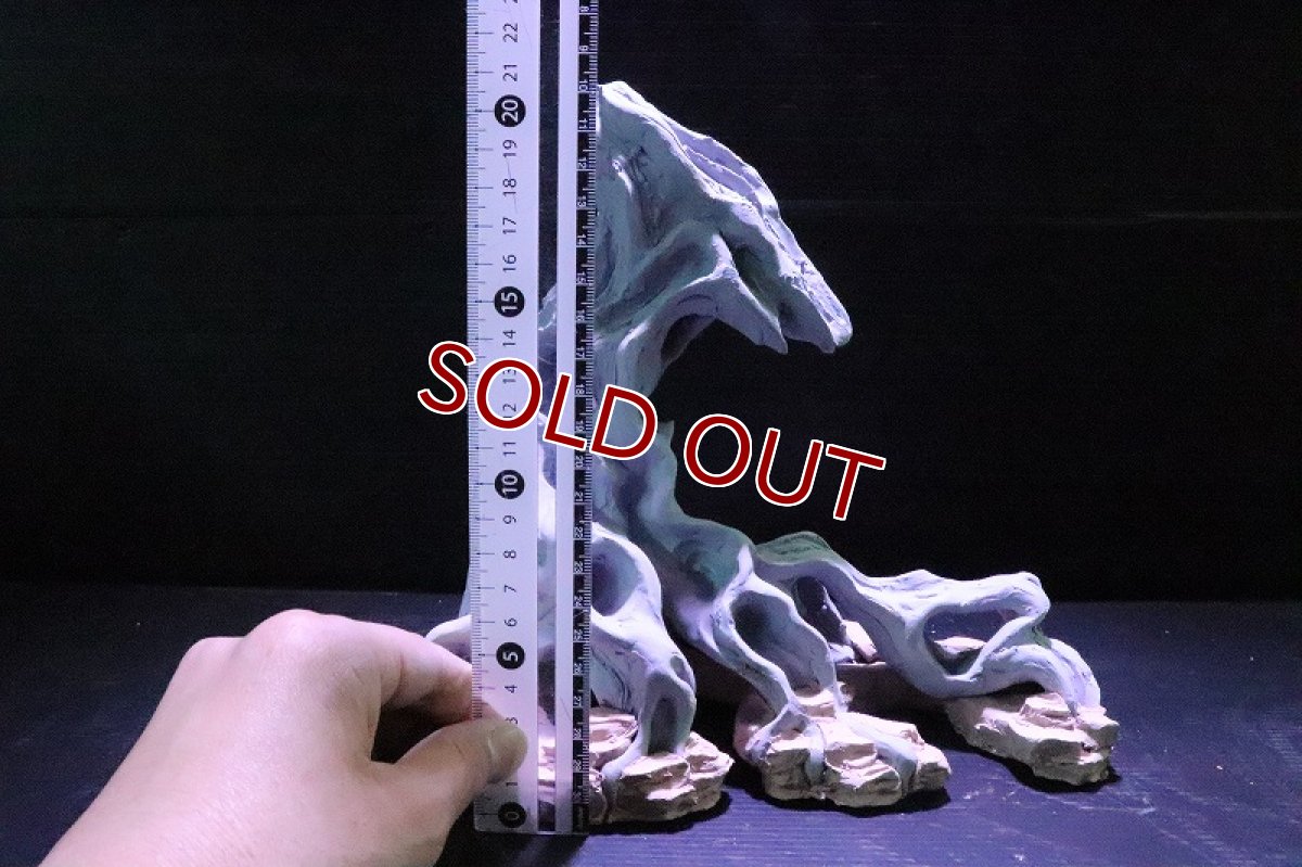 画像9: 【熱帯魚 シェルター】シェルタクラフタ No3 ROOTS SPDX タイプ2  シェルター【個体販売】(淡水) (9)