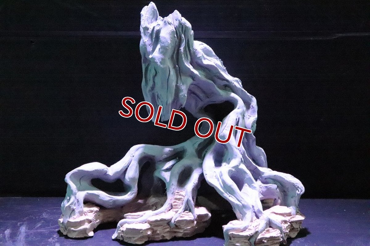 画像2: 【熱帯魚 シェルター】シェルタクラフタ No1 ROOTS SPDX タイプ1  シェルター【個体販売】(淡水) (2)