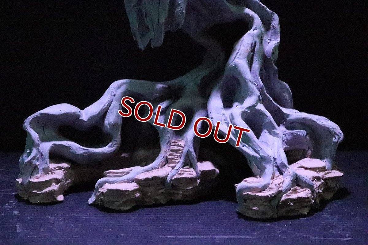 画像3: 【熱帯魚 シェルター】シェルタクラフタ No1 ROOTS SPDX タイプ1  シェルター【個体販売】(淡水) (3)