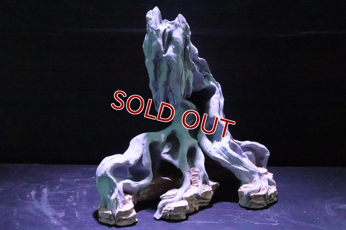 画像5: 【熱帯魚 シェルター】シェルタクラフタ No1 ROOTS SPDX タイプ1  シェルター【個体販売】(淡水) (5)