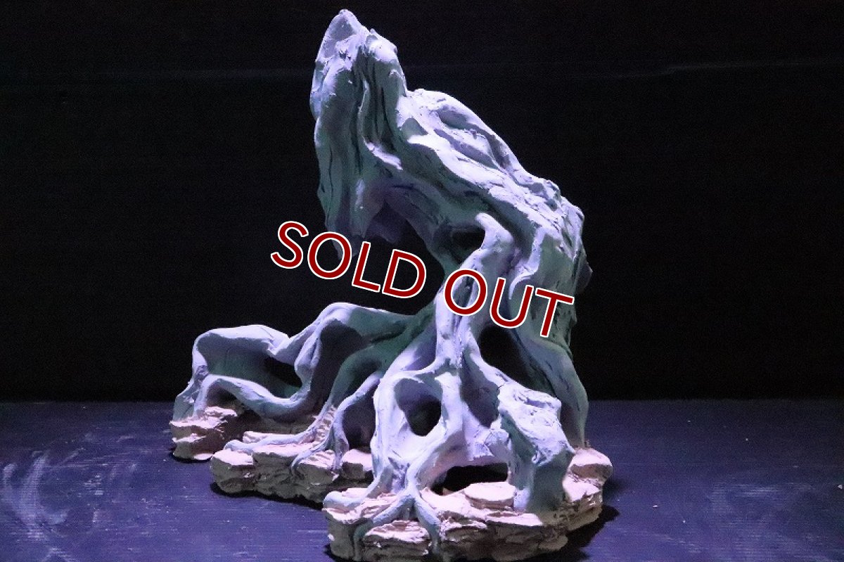 画像6: 【熱帯魚 シェルター】シェルタクラフタ No1 ROOTS SPDX タイプ1  シェルター【個体販売】(淡水) (6)