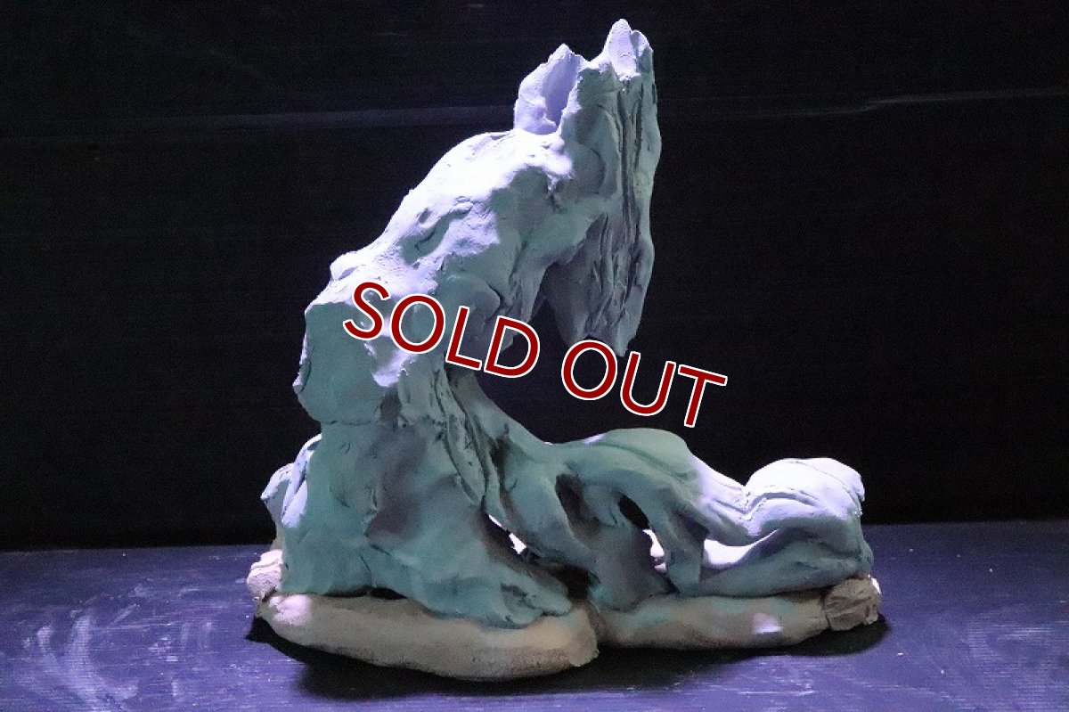 画像7: 【熱帯魚 シェルター】シェルタクラフタ No1 ROOTS SPDX タイプ1  シェルター【個体販売】(淡水) (7)