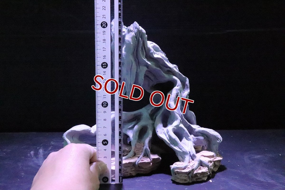 画像9: 【熱帯魚 シェルター】シェルタクラフタ No1 ROOTS SPDX タイプ1  シェルター【個体販売】(淡水) (9)