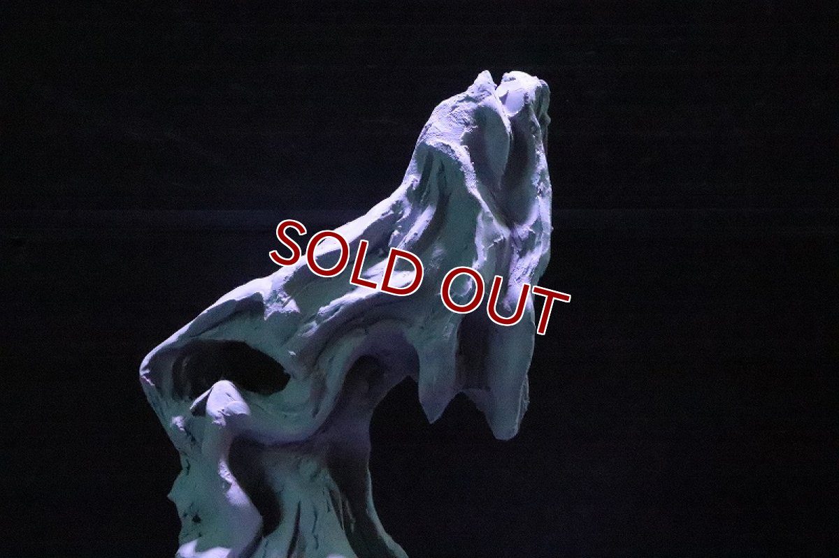 画像4: 【熱帯魚 シェルター】シェルタクラフタ No2 ROOTS SPDX タイプ1  シェルター【個体販売】(淡水) (4)