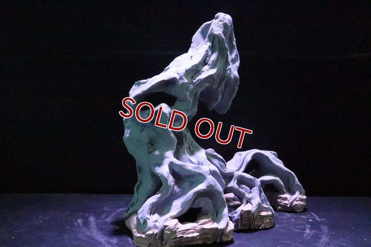 画像6: 【熱帯魚 シェルター】シェルタクラフタ No2 ROOTS SPDX タイプ1  シェルター【個体販売】(淡水) (6)