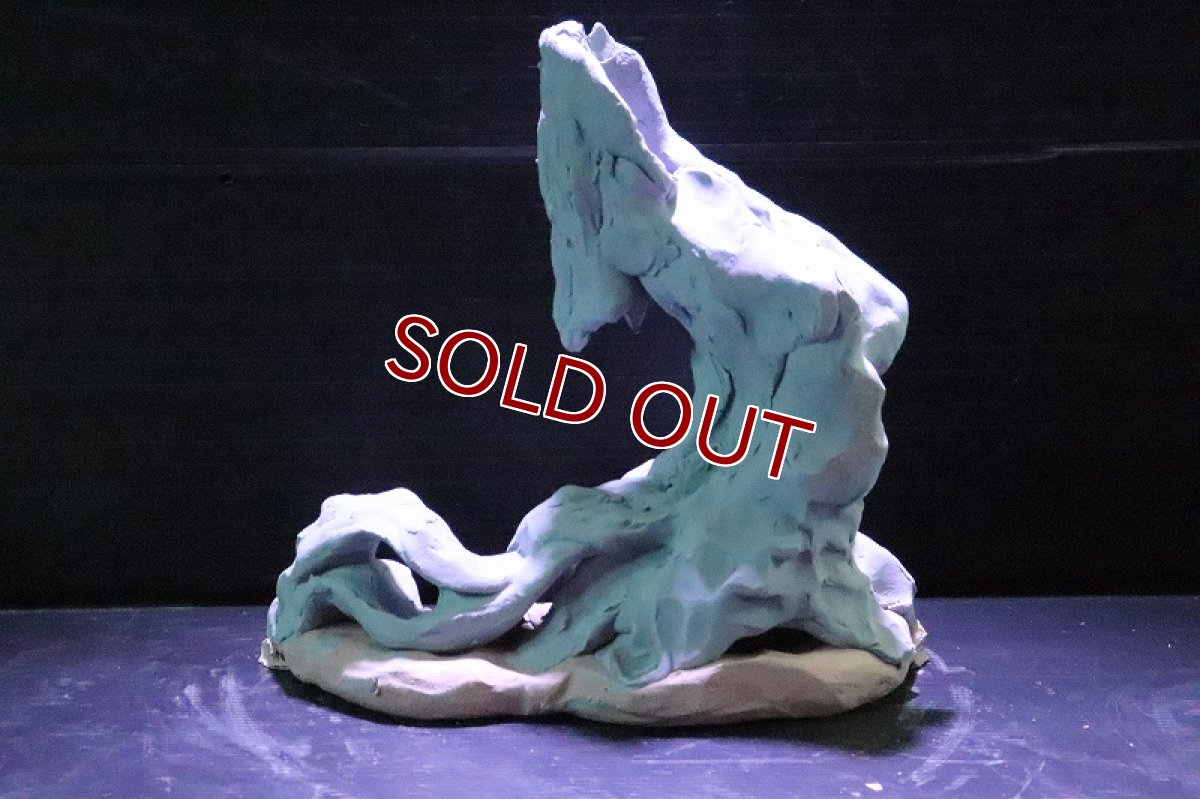 画像7: 【熱帯魚 シェルター】シェルタクラフタ No2 ROOTS SPDX タイプ1  シェルター【個体販売】(淡水) (7)