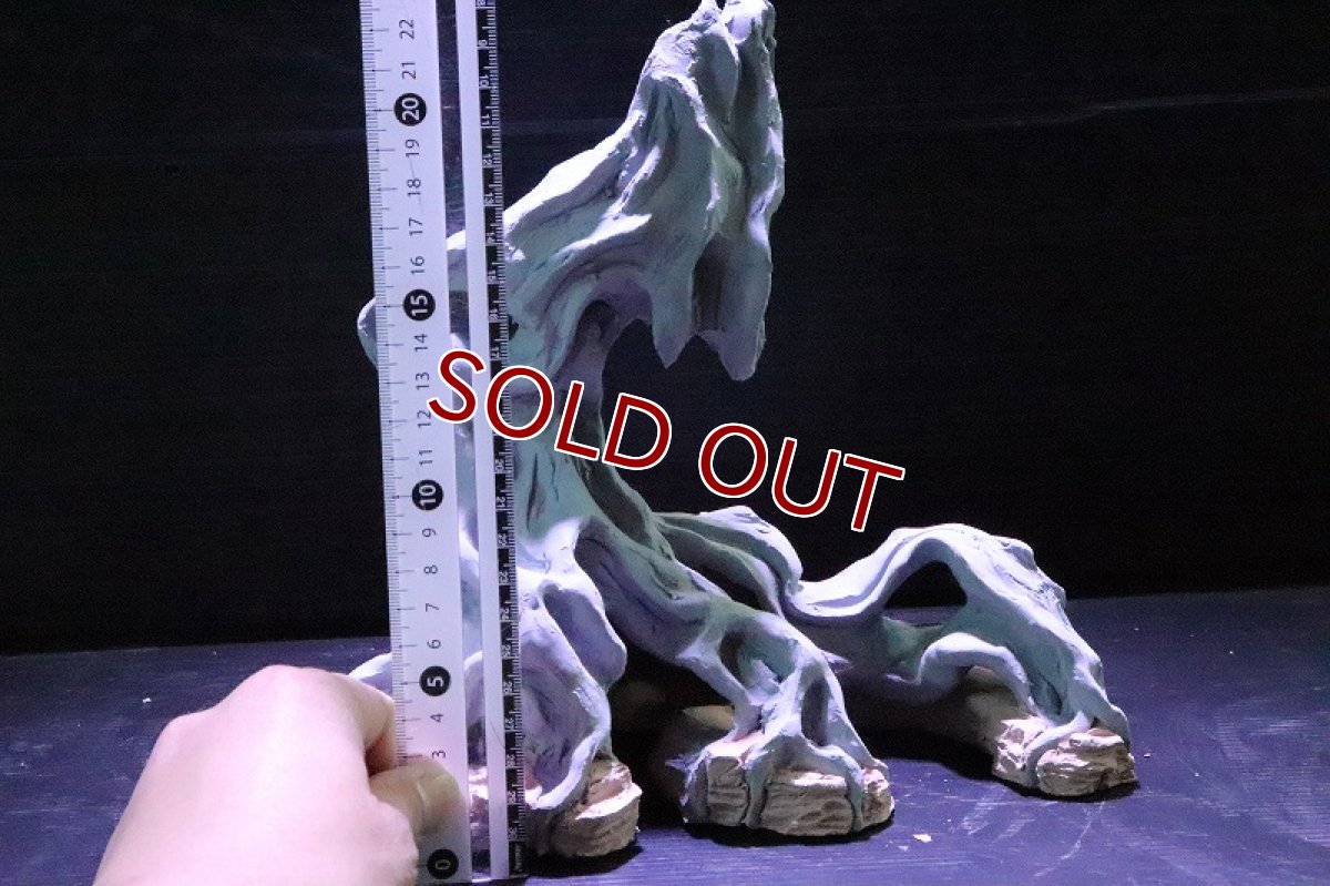 画像9: 【熱帯魚 シェルター】シェルタクラフタ No2 ROOTS SPDX タイプ1  シェルター【個体販売】(淡水) (9)