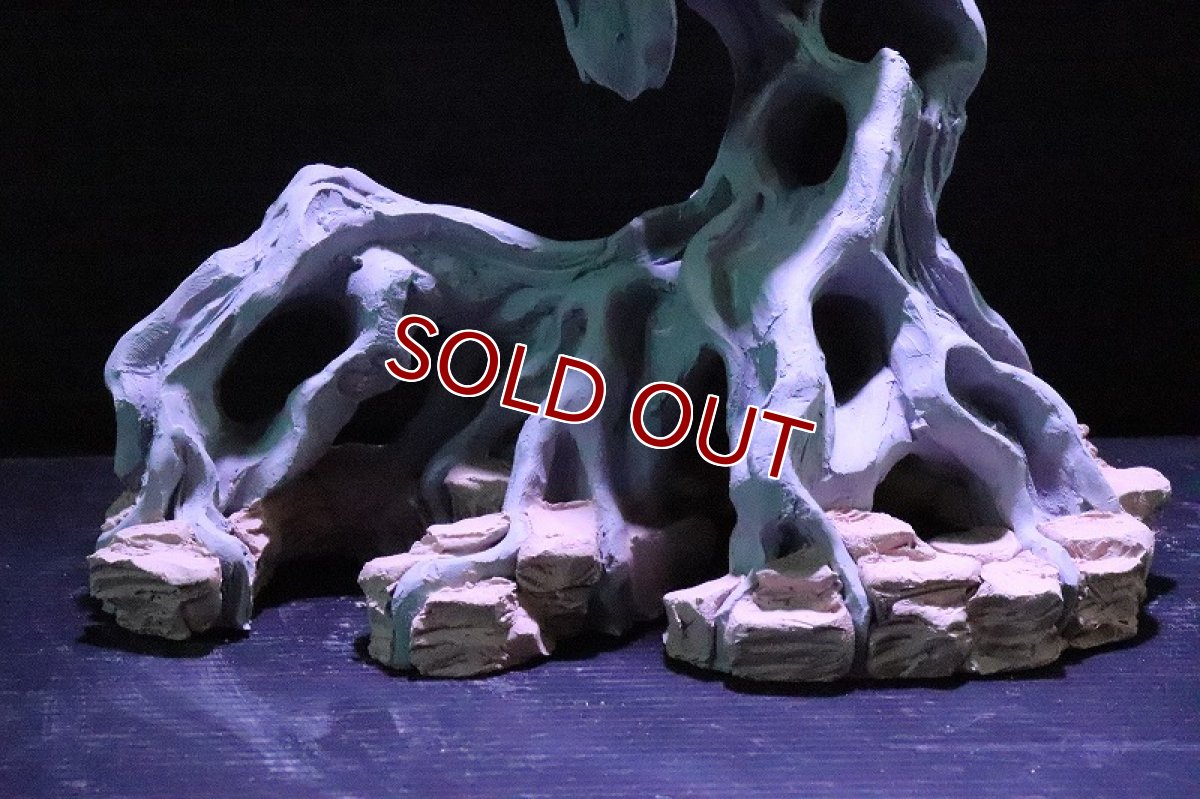 画像3: 【熱帯魚 シェルター】シェルタクラフタ No3 ROOTS SPDX タイプ1  シェルター【個体販売】(淡水) (3)