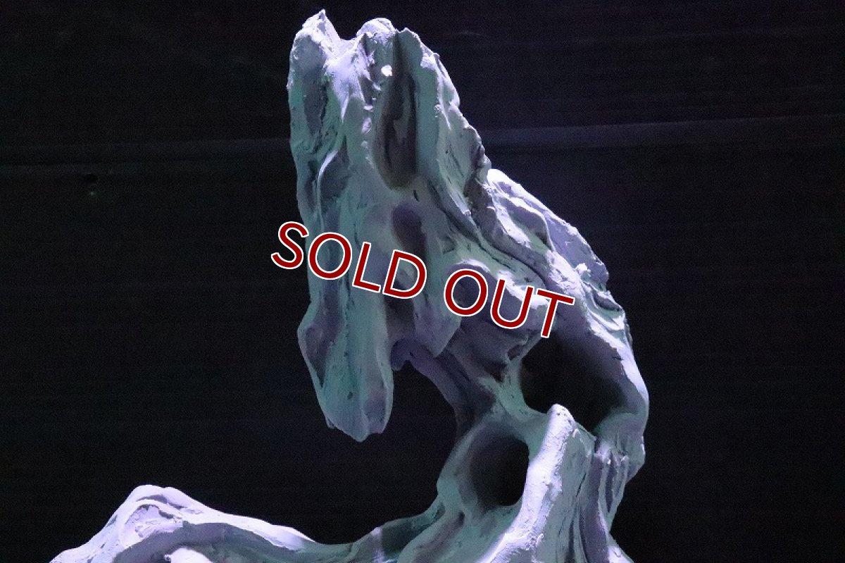 画像4: 【熱帯魚 シェルター】シェルタクラフタ No3 ROOTS SPDX タイプ1  シェルター【個体販売】(淡水) (4)