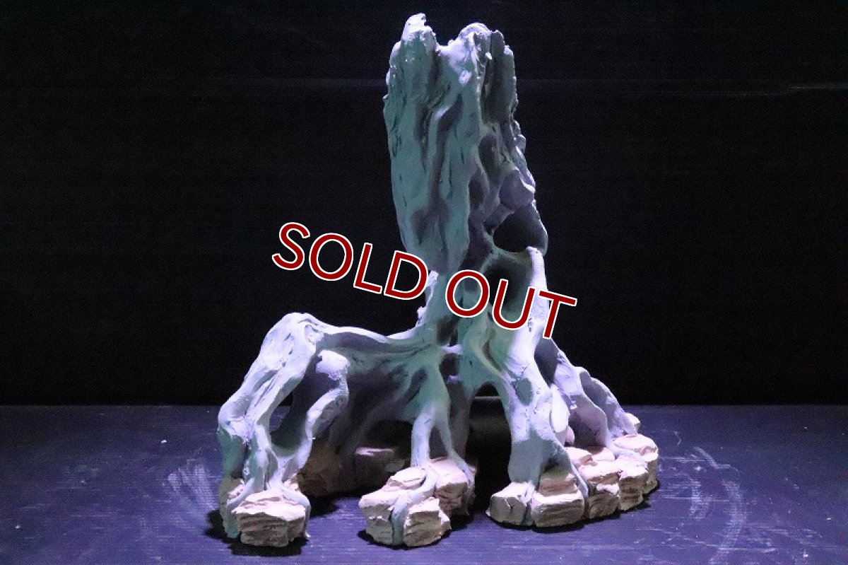 画像5: 【熱帯魚 シェルター】シェルタクラフタ No3 ROOTS SPDX タイプ1  シェルター【個体販売】(淡水) (5)