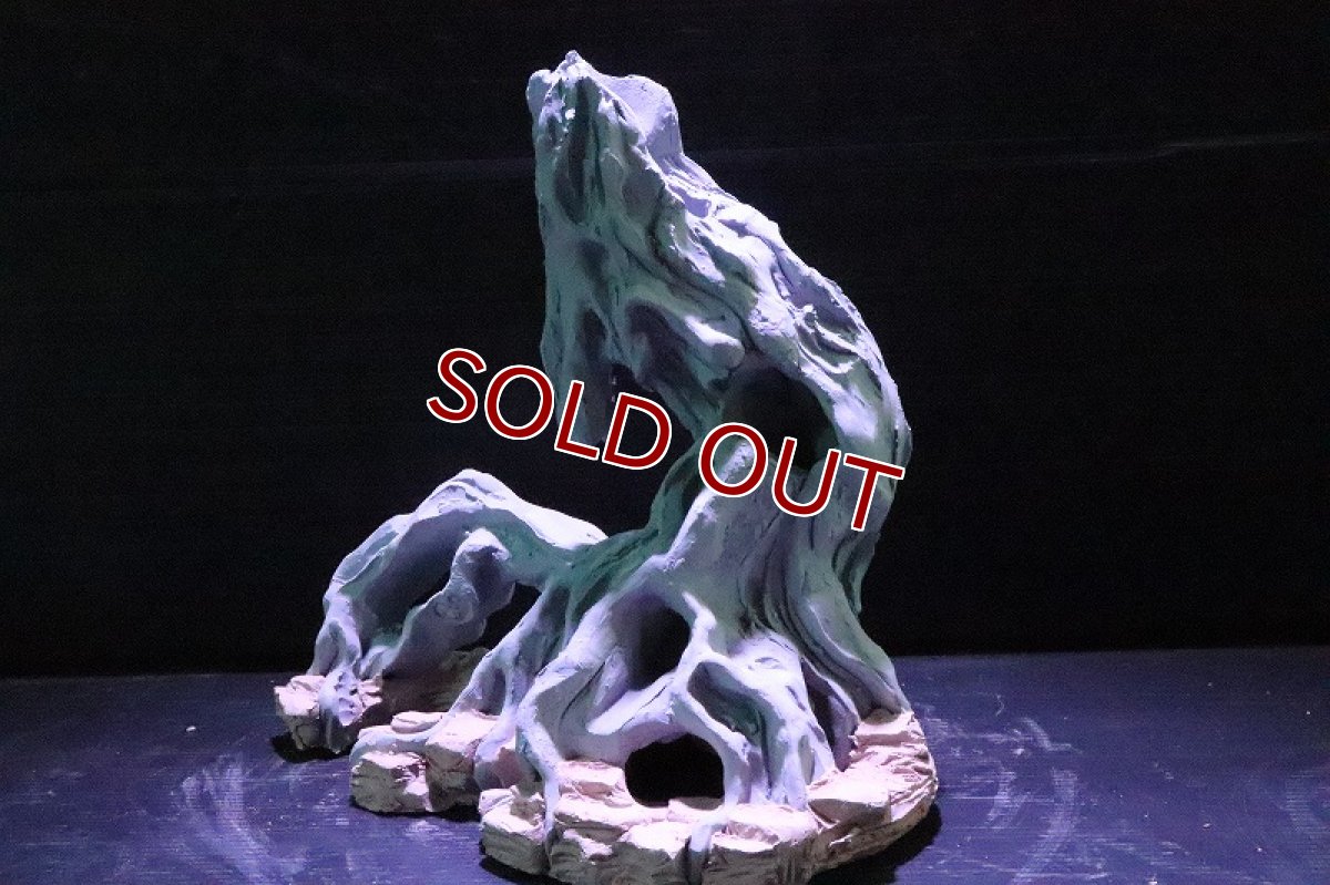 画像6: 【熱帯魚 シェルター】シェルタクラフタ No3 ROOTS SPDX タイプ1  シェルター【個体販売】(淡水) (6)