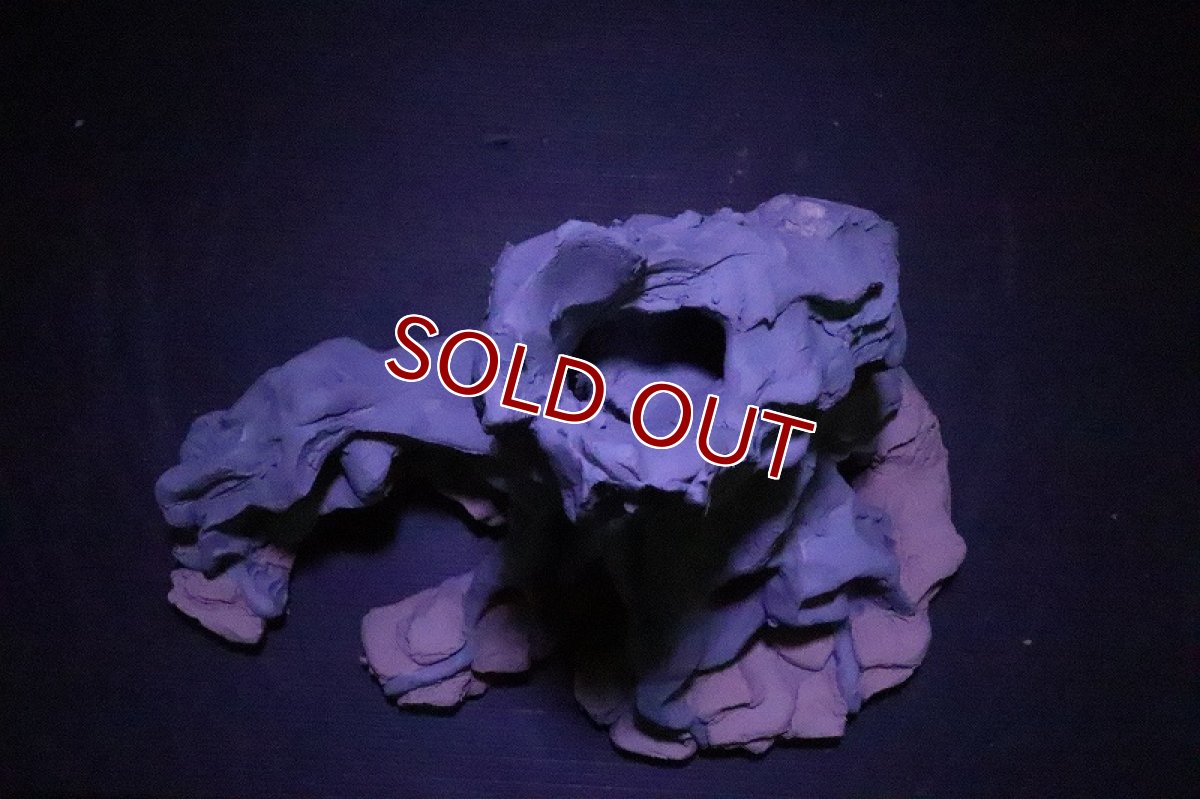 画像8: 【熱帯魚 シェルター】シェルタクラフタ No3 ROOTS SPDX タイプ1  シェルター【個体販売】(淡水) (8)