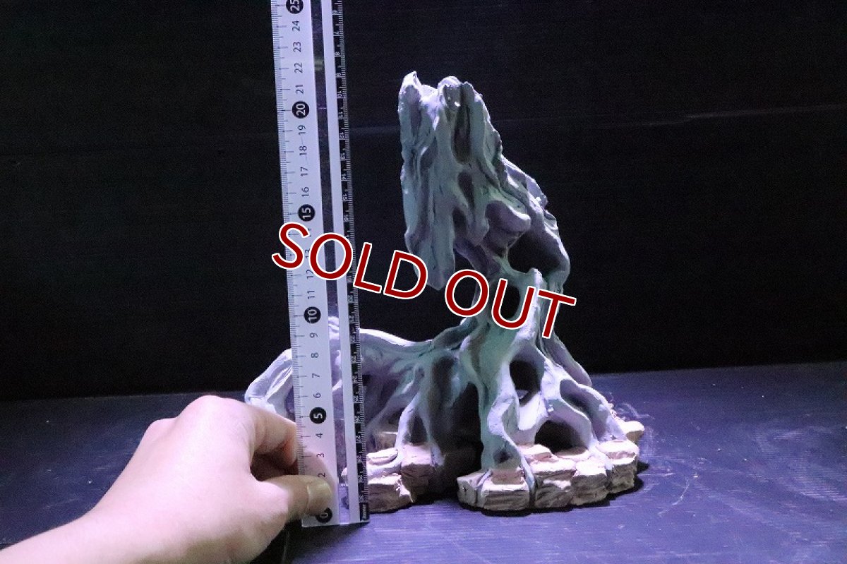 画像9: 【熱帯魚 シェルター】シェルタクラフタ No3 ROOTS SPDX タイプ1  シェルター【個体販売】(淡水) (9)