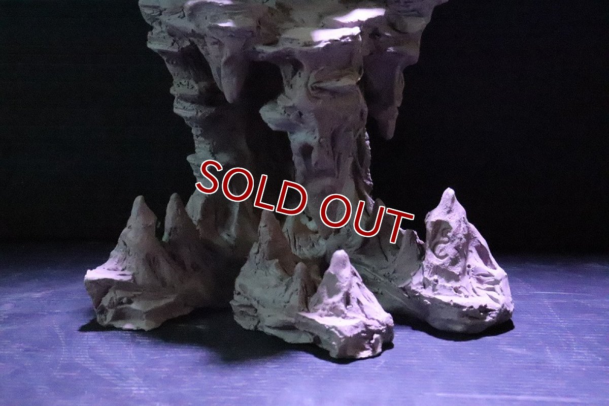 画像4: 【熱帯魚 シェルター】No1 シェルタクラフタ 鍾乳石 SPDX シェルター【個体販売】(淡水) (4)