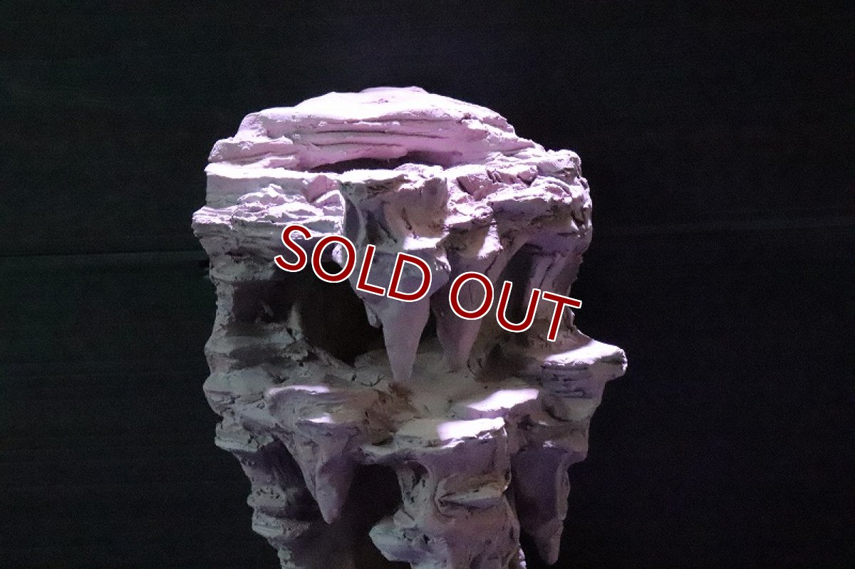 画像5: 【熱帯魚 シェルター】No1 シェルタクラフタ 鍾乳石 SPDX シェルター【個体販売】(淡水) (5)