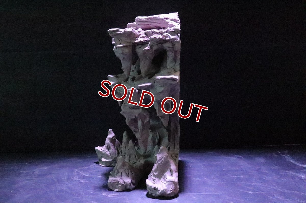 画像6: 【熱帯魚 シェルター】No1 シェルタクラフタ 鍾乳石 SPDX シェルター【個体販売】(淡水) (6)